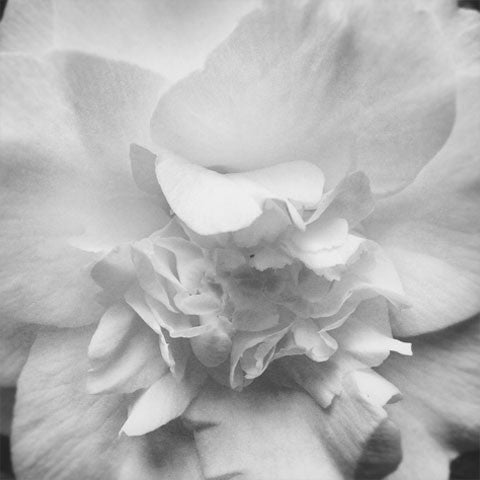 Fully-configurable 6th generation product